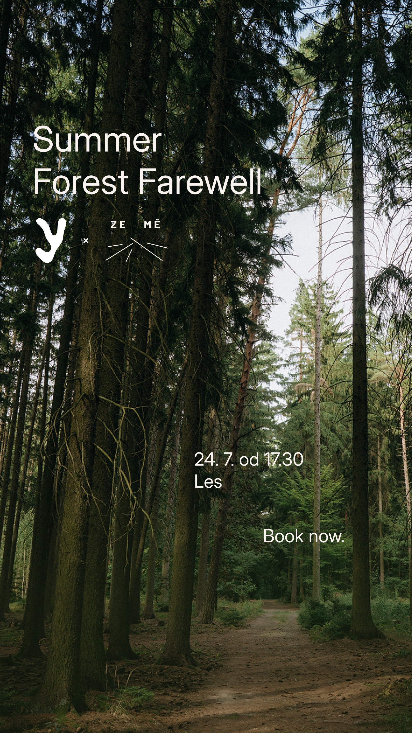 Summer Forrest Celebration